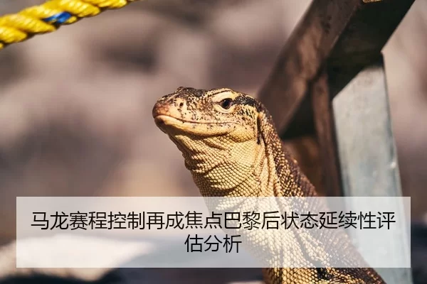马龙赛程控制再成焦点巴黎后状态延续性评估分析