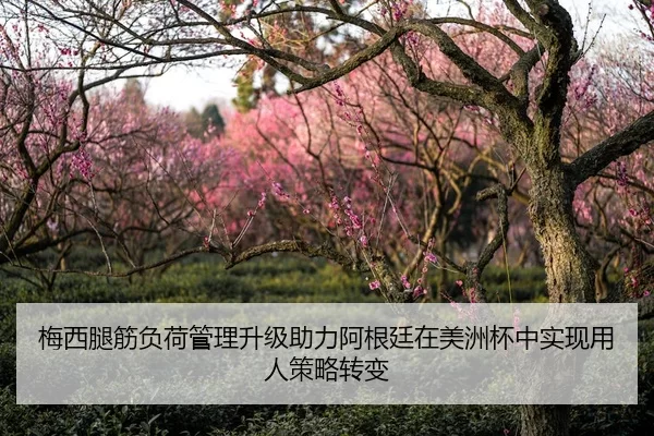 梅西腿筋负荷管理升级助力阿根廷在美洲杯中实现用人策略转变