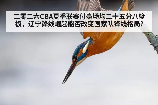 二零二六CBA夏季联赛付豪场均二十五分八篮板，辽宁锋线崛起能否改变国家队锋线格局？